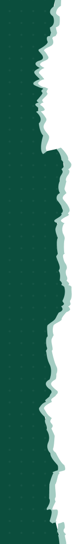 Video Shape